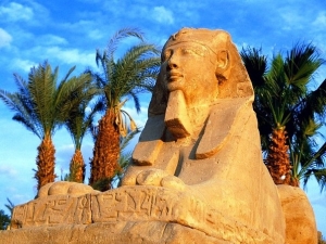 	 В Египете наблюдается 20% рост числа туристов, несмотря на отсутствие безопасности