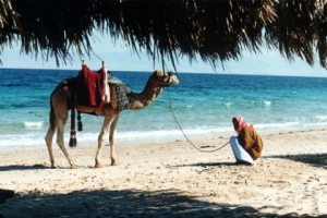 Власти Египта обещают безопасный отдых