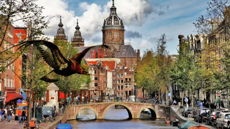 Амстердам - город счастья. Один ночной переезд