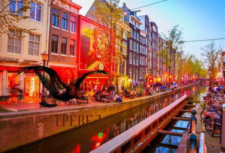 Амстердам… Forever  3 дня в Амстердаме. БЕЗ НОЧНЫХ ПЕРЕЕЗДОВ