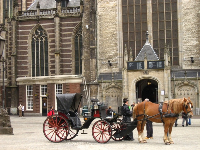 Амстердам и Париж… …зажег и привлек… 