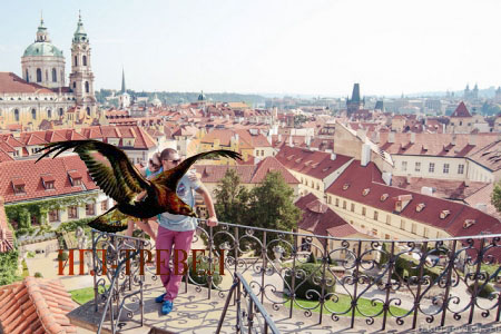 Три счастливых дня…Уикенд…Краков, Прага, Дрезден…Без ночных переездов