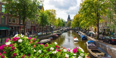 Амстердам - Король Голландець 
