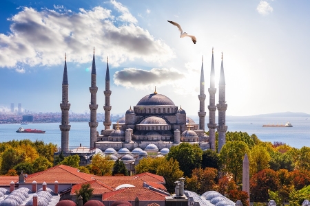 Стамбульский экспресс I Авиа тур в Стамбул
